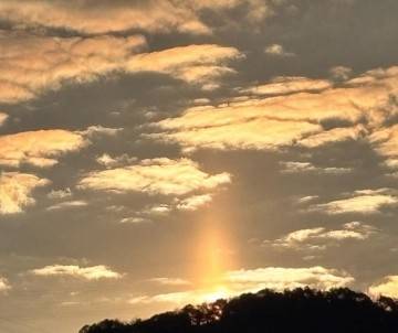 おはようございます