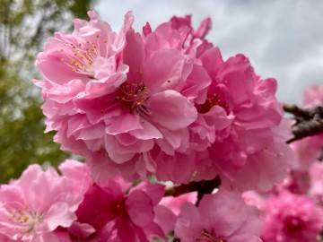 １７時から出勤します♪