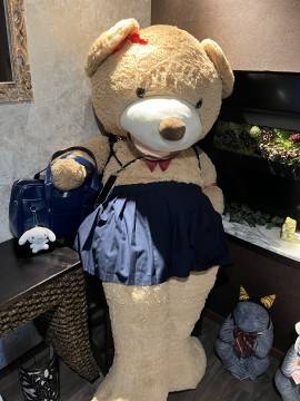 来ましたよ～