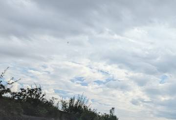 出勤しました