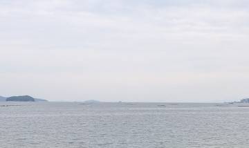 出勤しました