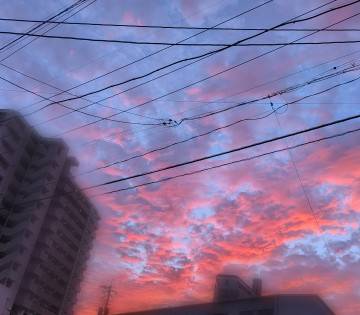 移動中