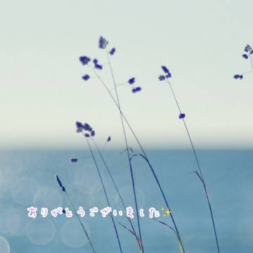 お礼（202様）3月2日