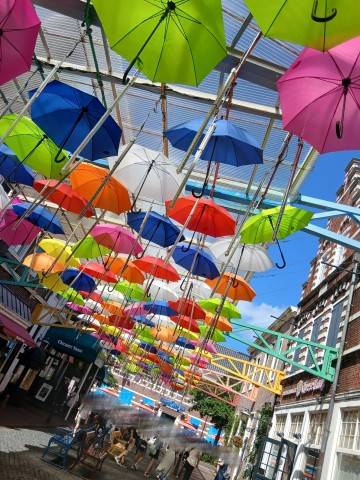 おはようございます