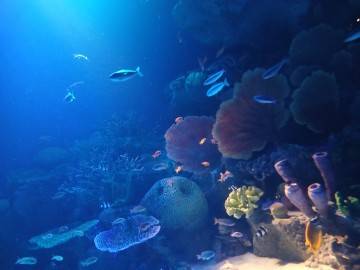 お疲れ様でした