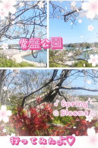 ☆♪☆♪☆♪~。