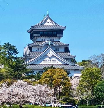 ご予約ありがとうございます