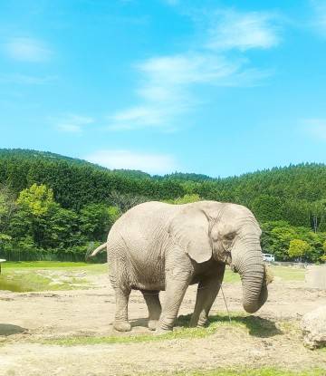 予約状況です!