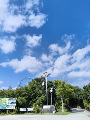 出勤日追加です！