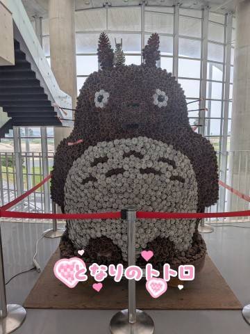おはようございます♪今日も元気に出ています！！