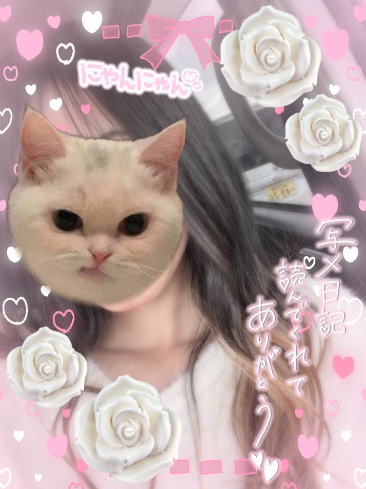6/3💗6/5