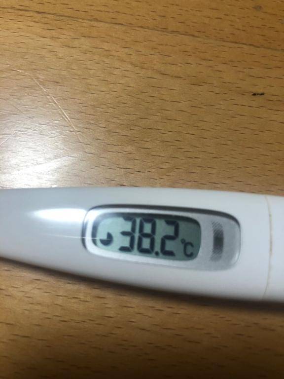 季節の変わり目だからかな...