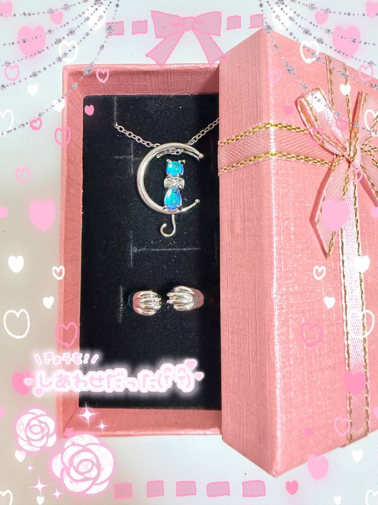 ねこちゃん😽💞