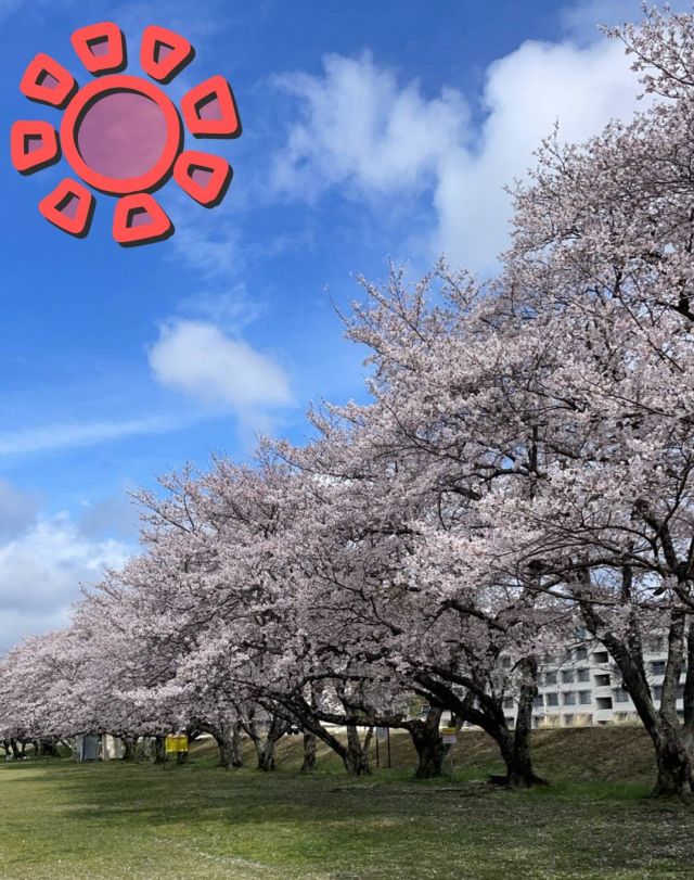 みきこ　※プレミア出勤♪（【若い子から熟女まで】リップサービス neo）