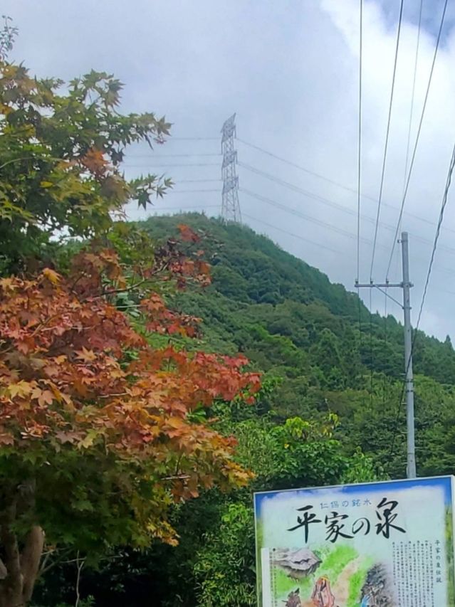 こんにちは🤲