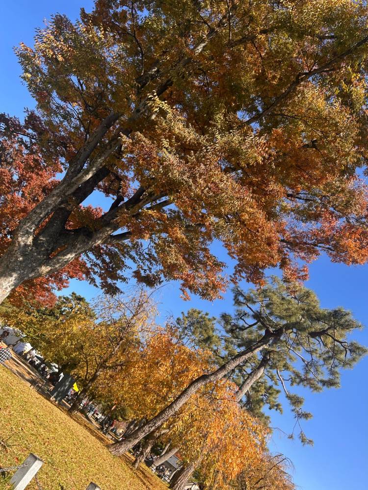 V☆しずく(【オススメ】リンカーン宇部本店 朝10時~深夜5時まで営業)