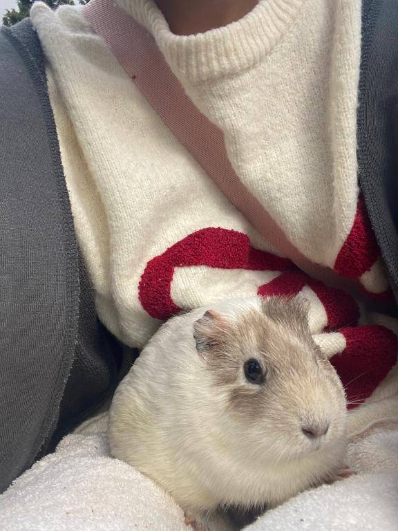 おはようございます