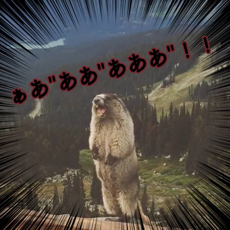 気分はマーモット⊂( *･ω･ )⊃