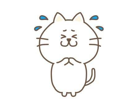 ?(ﾉД`)?。