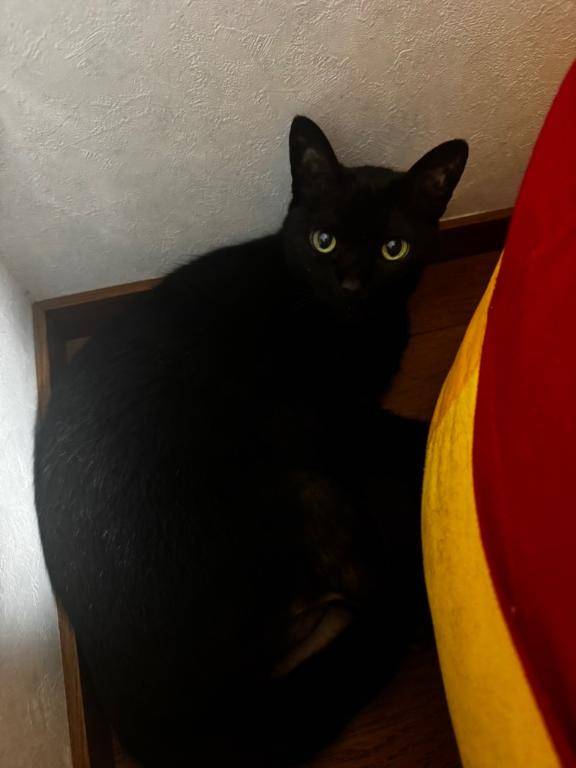 久しぶりの雨ですね