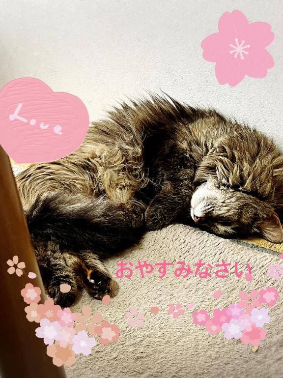 ちょっと遅い時間に