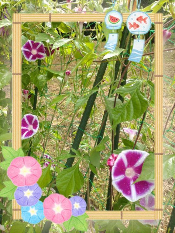 [お題]from:ラジオ体操さん