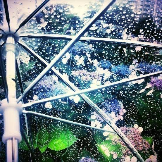 涼しい雨