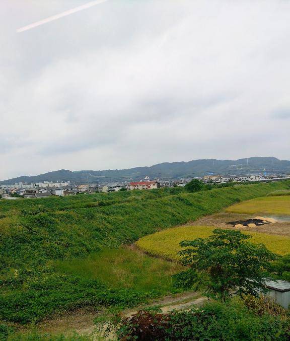 こんな日は。。