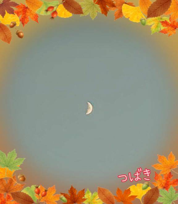 きれいな三日月?