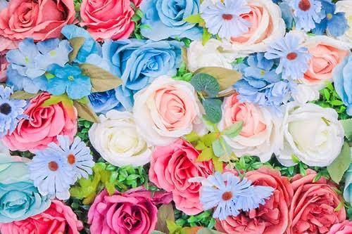 [お題]from:シャボンさん