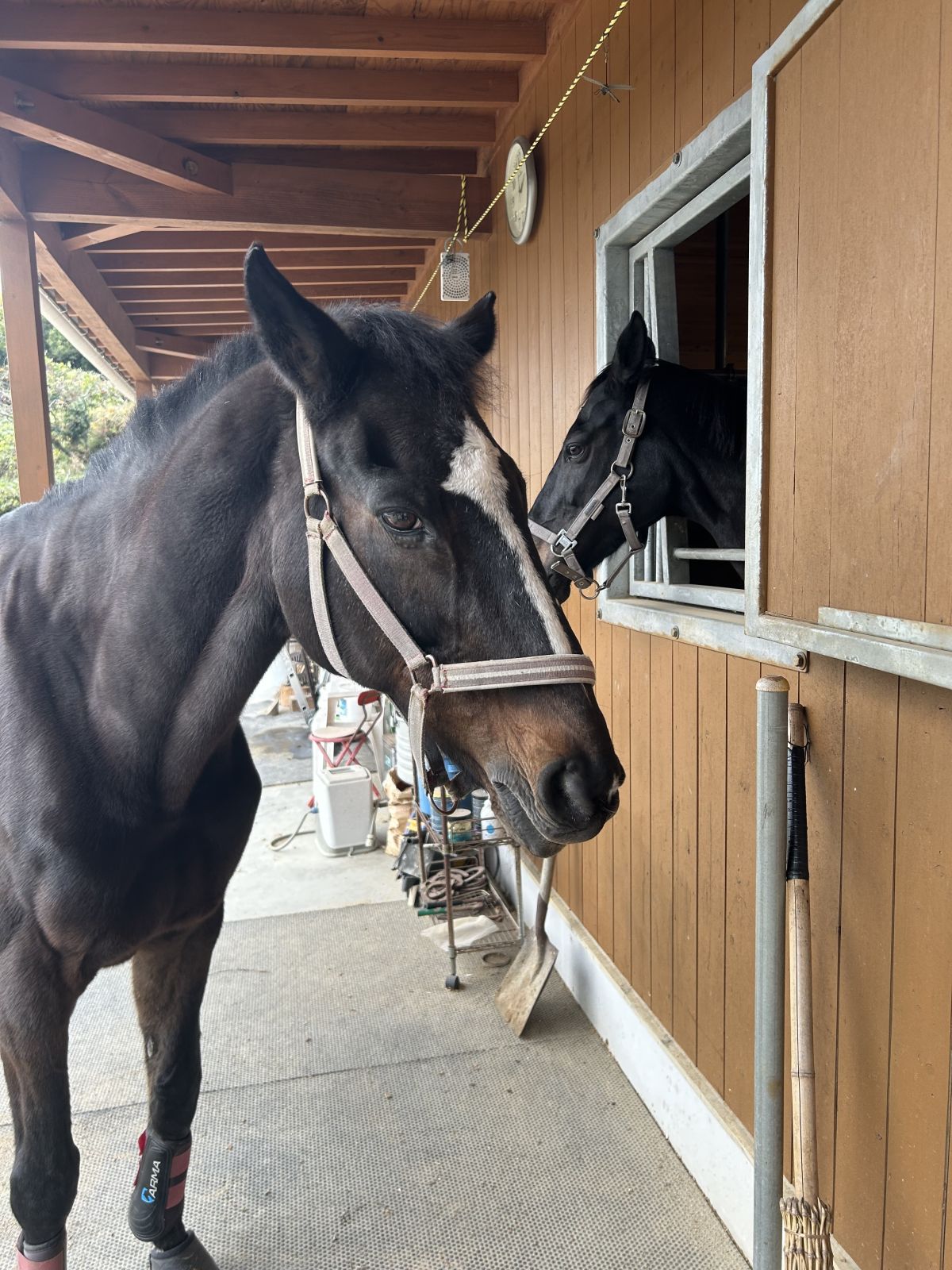 なつみ（ラブパコ　LOVE PACO）