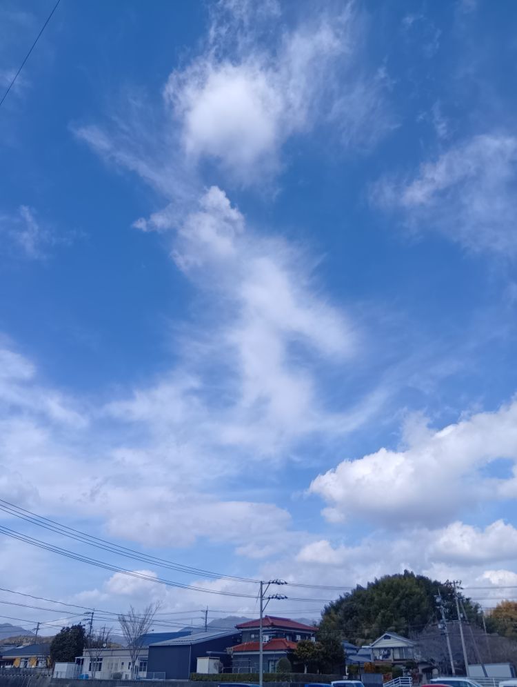 出勤しました。