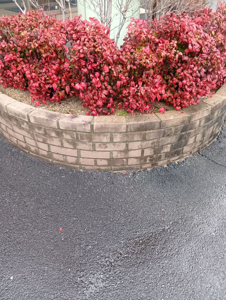 おはようございます