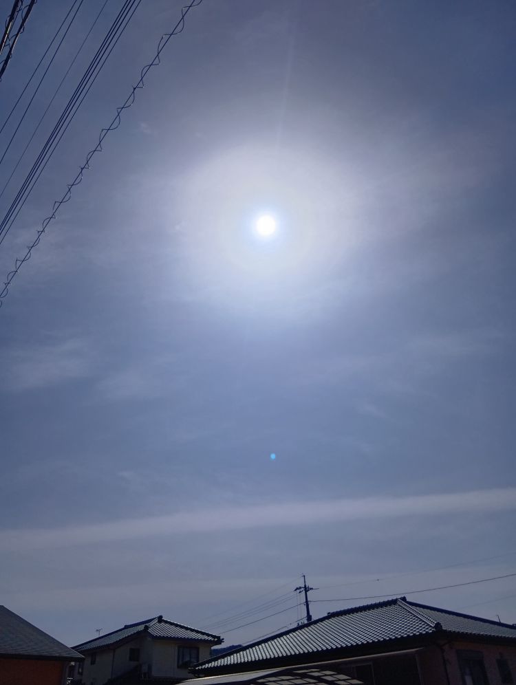 朝から