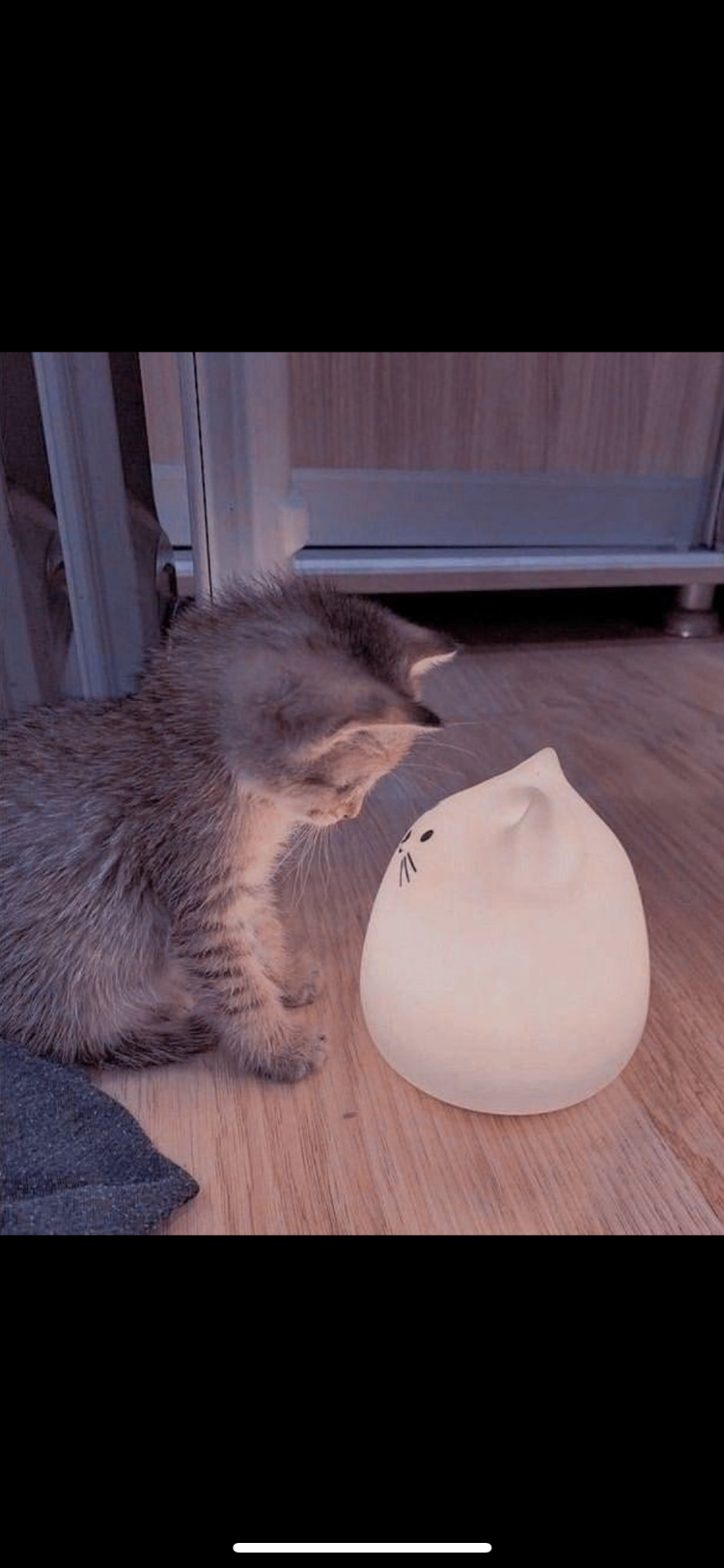 変更しました😭