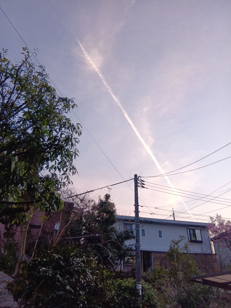今日は土曜日