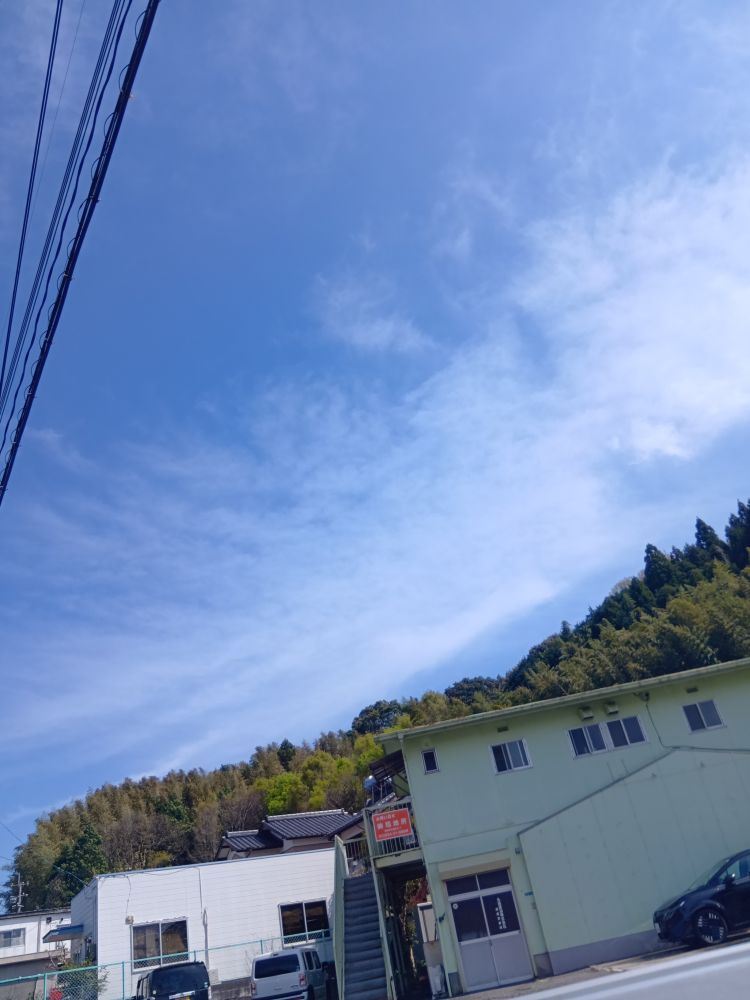 昨日久々にでたのに