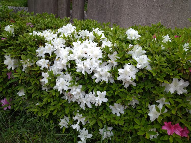 雨降りで、濡れて寒かった〜ぁ😱