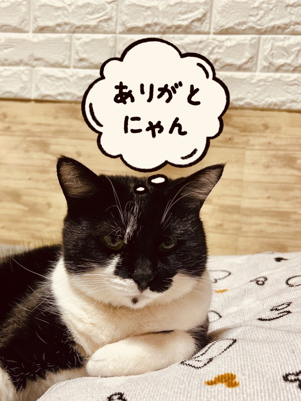 昨日のお礼𑊢 ⸜❤︎⸝‍