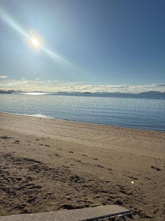 星桜(せいら)(らぶわごん)