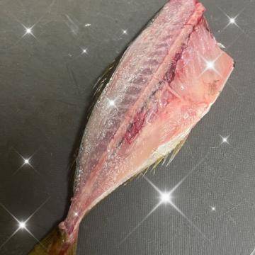 夏の思い出🎣