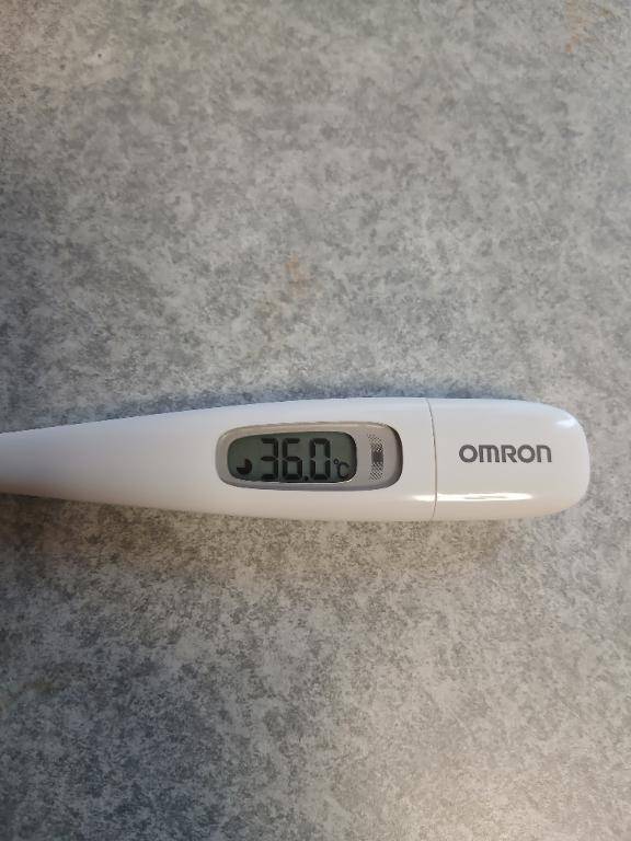 6日ぶりの出勤です