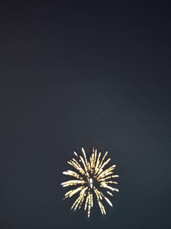 はなび🎆