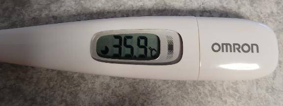 今日は☔予定だから...