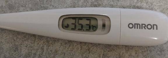 西条の酒まつりが