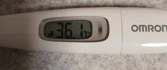 朝から雨で