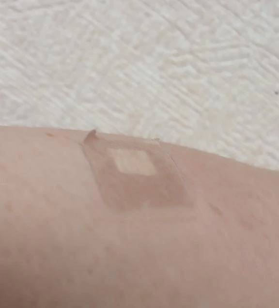 今回は