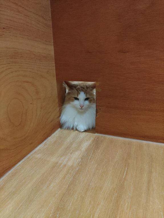 ねっこかふぇ~