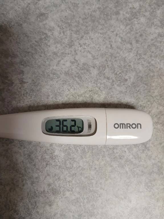 お歳暮のカタログが...