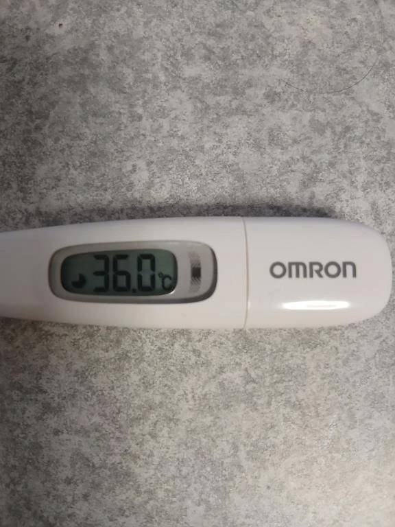 バケモンの子録画して